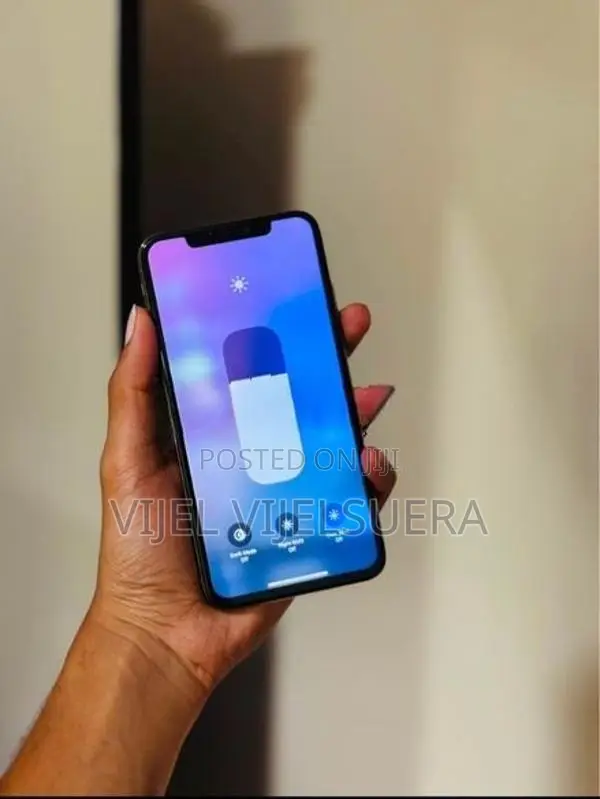 Apple iPhone XS Max 256GB (Used)