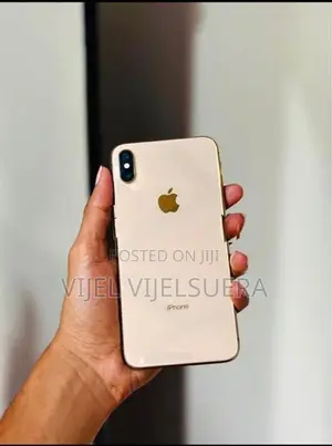 Apple iPhone XS Max 256GB (Used)