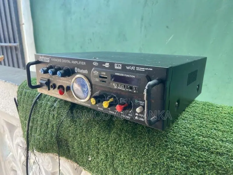 Karaoke Digital Amplifier