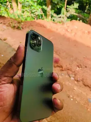 Apple iPhone 12 Pro (Used)