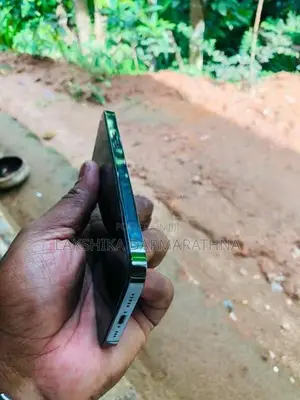 Apple iPhone 12 Pro (Used)