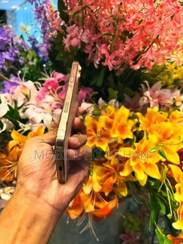Apple iPhone 16 Pro Max (Used)