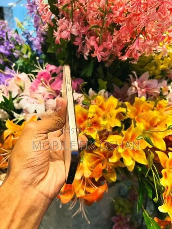 Apple iPhone 16 Pro Max (Used)