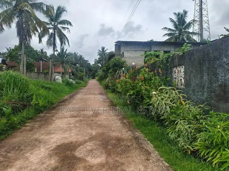 කීනවල Railway Station එක ආසන්නයෙන් පර්චසයක් ලක්ෂ 2.80කට සුපිරි ඉඩමක්