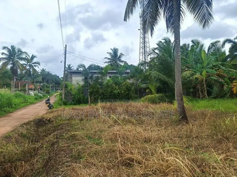 කීනවල Railway Station එක ආසන්නයෙන් පර්චසයක් ලක්ෂ 2.80කට සුපිරි ඉඩමක්