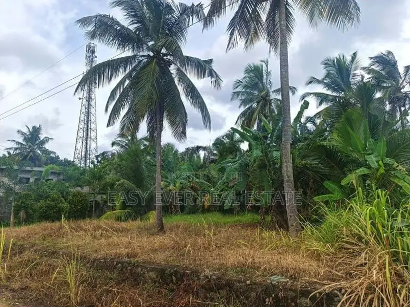 කීනවල Railway Station එක ආසන්නයෙන් පර්චසයක් ලක්ෂ 2.80කට සුපිරි ඉඩමක්