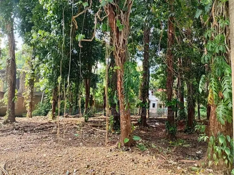 Land for Sale in Muwagama, Ratnapura