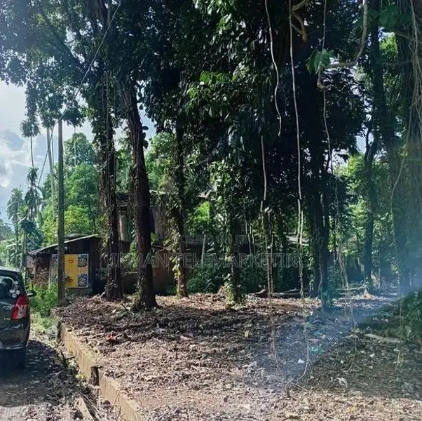 Land for Sale in Muwagama, Ratnapura