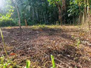 උඩුගම්පොළ – ගල්පොත්ත හංදිය, පෙතියාගොඩින් PRIME LAND එකක්