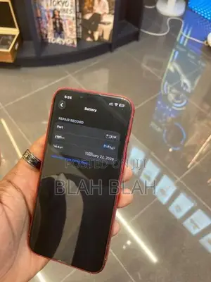 Apple iPhone 13 Edition (Used)