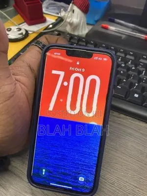 Apple iPhone 13 Edition (Used)