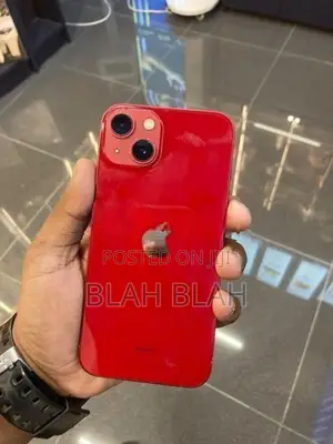 Apple iPhone 13 Edition (Used)