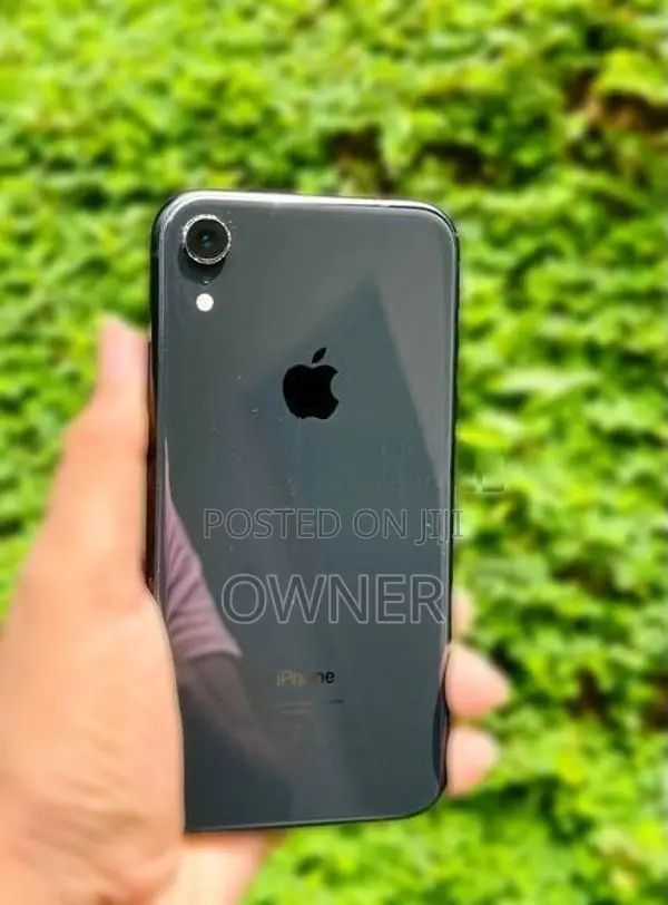 Apple iPhone XR (Used)