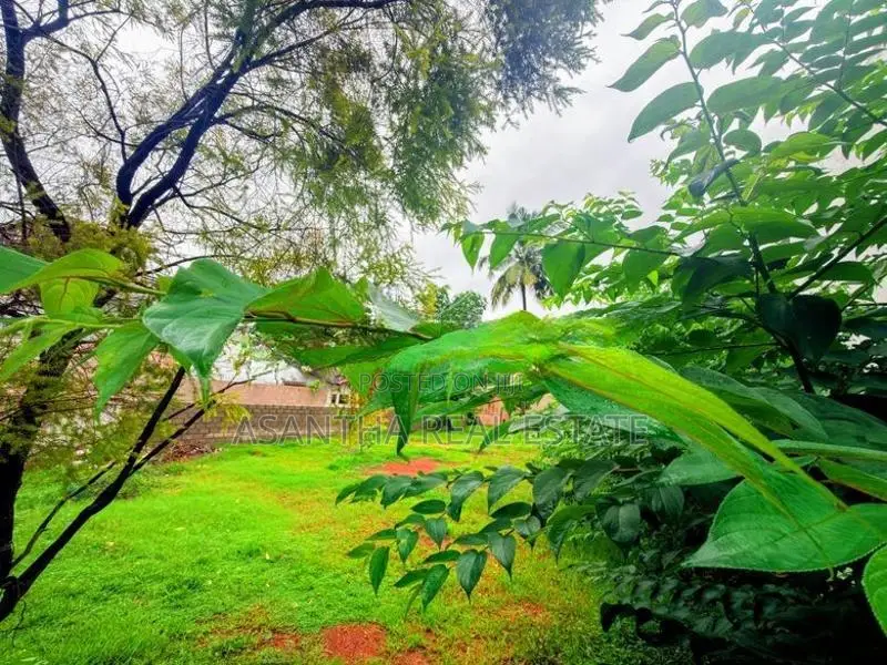 22 P Bare Land Sale At Anderson Road Kalubowila Dehiwala