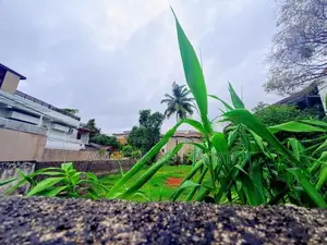 22 P Bare Land Sale At Anderson Road Kalubowila Dehiwala