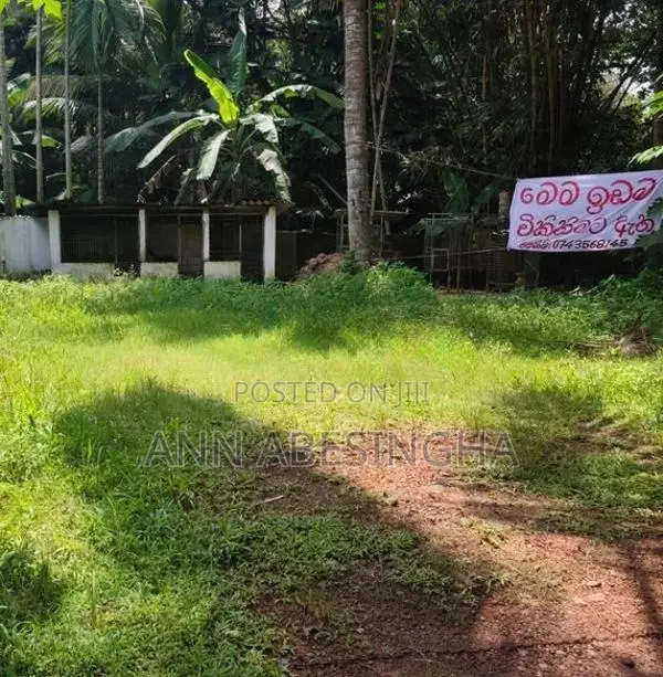 Land Sale in Wattala