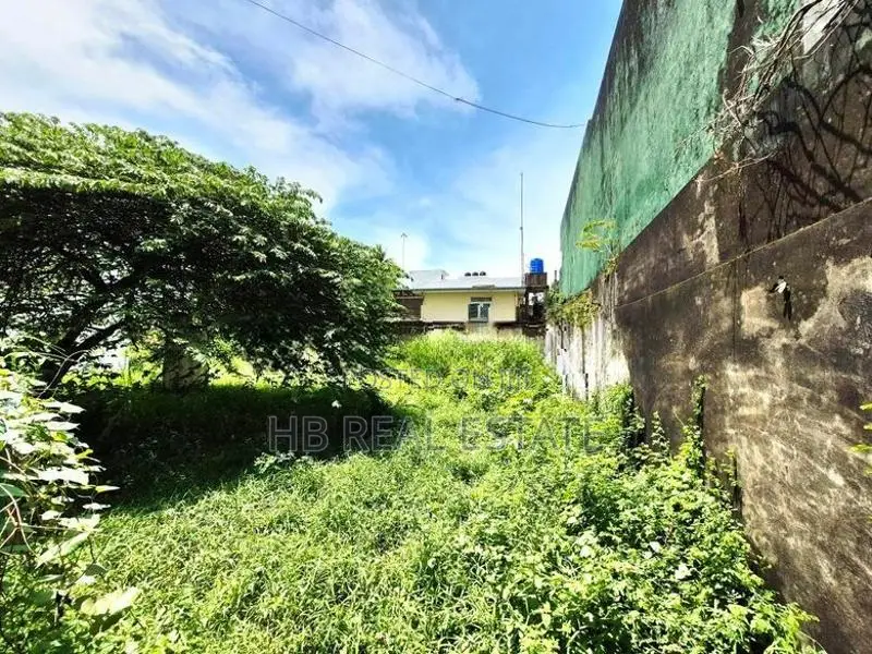16.75 Perches Residential Bare Land For Sale In Colombo 8