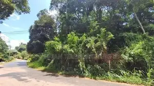 Land for Sale in Peradeniya