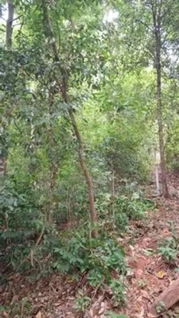 Land for Sale in Peradeniya