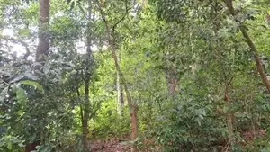 Land for Sale in Peradeniya