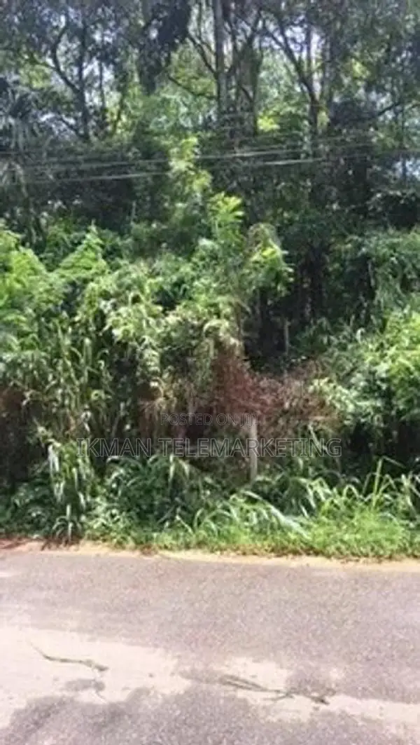 Land for Sale in Peradeniya