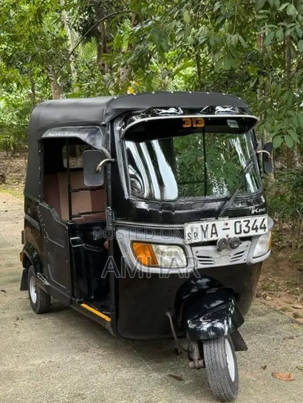 TVS King 2010