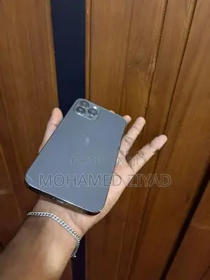 Apple iPhone 12 Pro Max (Used)