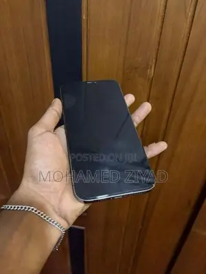 Apple iPhone 12 Pro Max (Used)