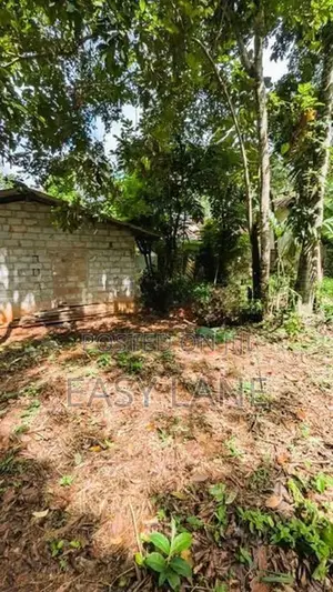 කඩවත වෑබඩ පර්චස් 8 ක ඉඩම 24 යි.