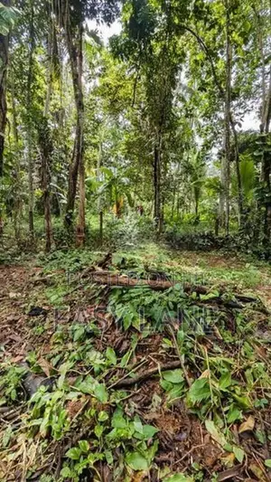 කඩවත වෑබඩ පර්චස් 8 ක ඉඩම 24 යි.