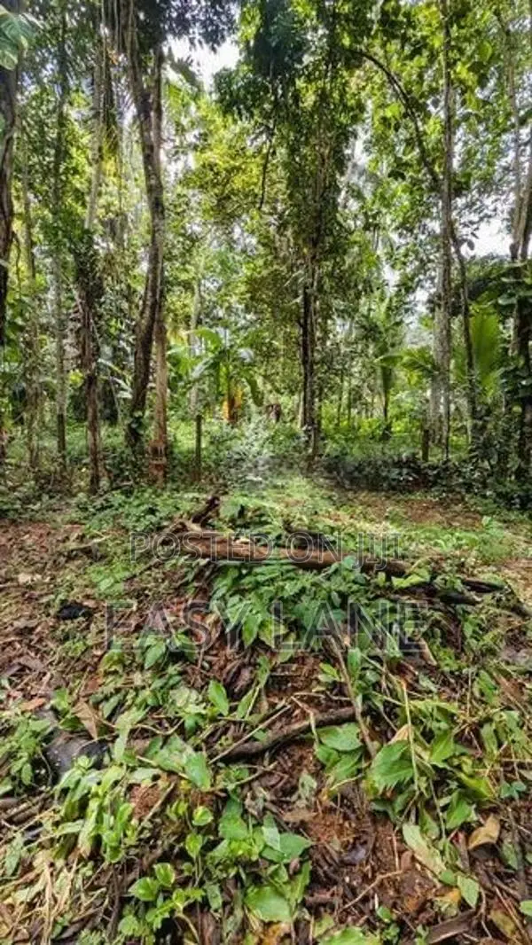 කඩවත වෑබඩ පර්චස් 8 ක ඉඩම 24 යි.