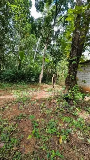 කඩවත වෑබඩ පර්චස් 8 ක ඉඩම 24 යි.