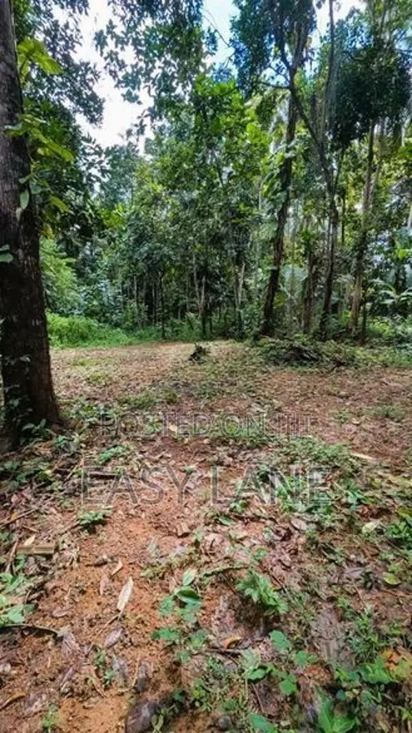 කඩවත වෑබඩ පර්චස් 8 ක ඉඩම 24 යි.