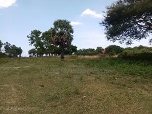 Beachfront Land For Sale – Adukkupaarai Beach, Trincomalee