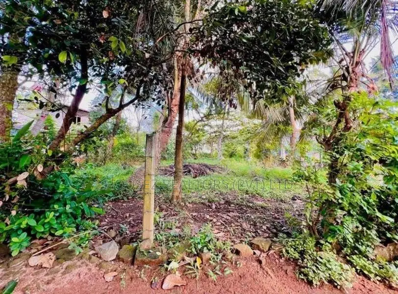 15 Perch Land For Sale In Waskaduwa – 50m To Galle Road