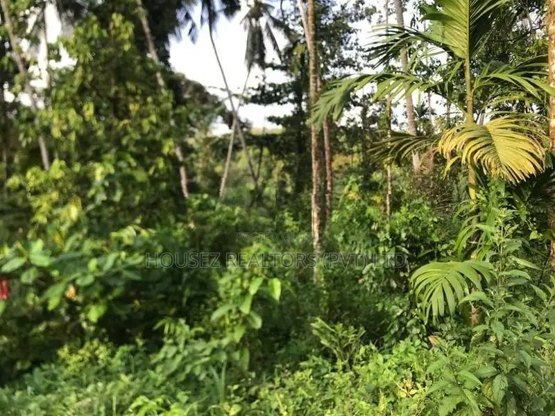 27.1 Perch Main Road Frontage Land For Sale – Ingiriya
