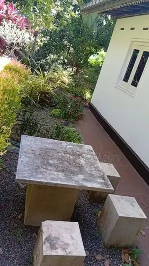 Fruit Garden Property For Sale – Giriulla