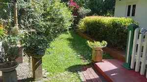 Fruit Garden Property For Sale – Giriulla