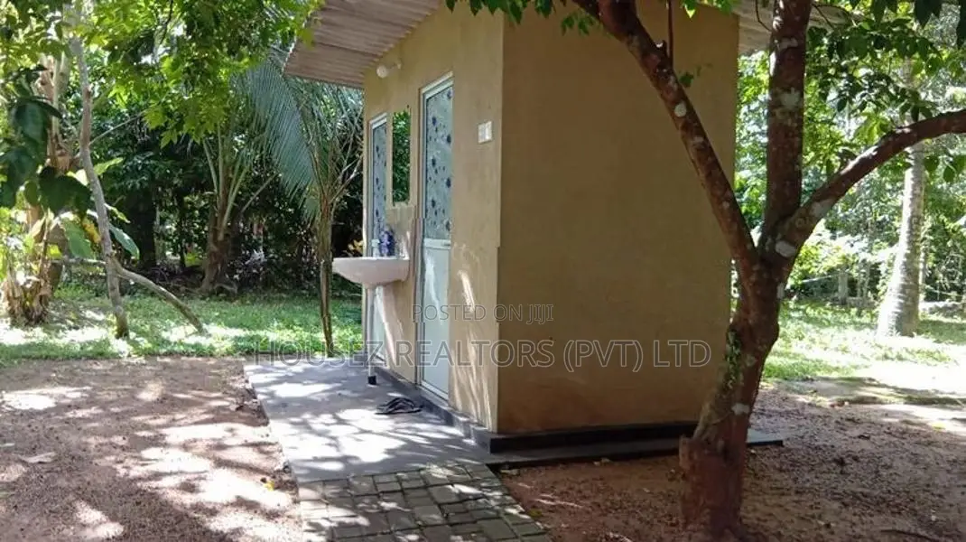 Fruit Garden Property For Sale – Giriulla