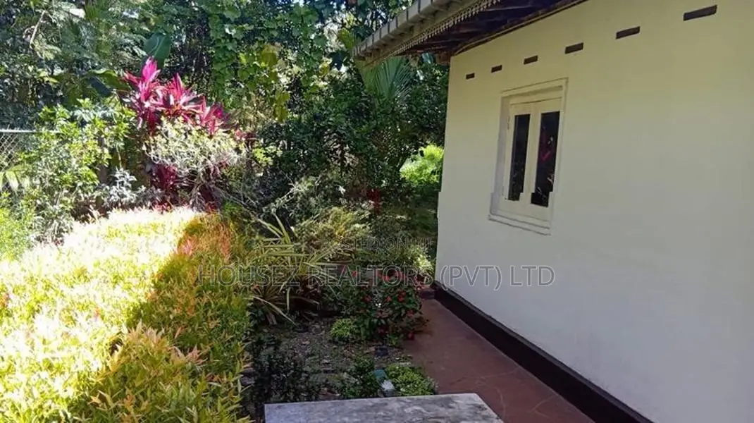 Fruit Garden Property For Sale – Giriulla