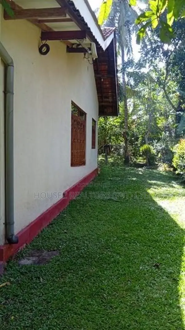 Fruit Garden Property For Sale – Giriulla