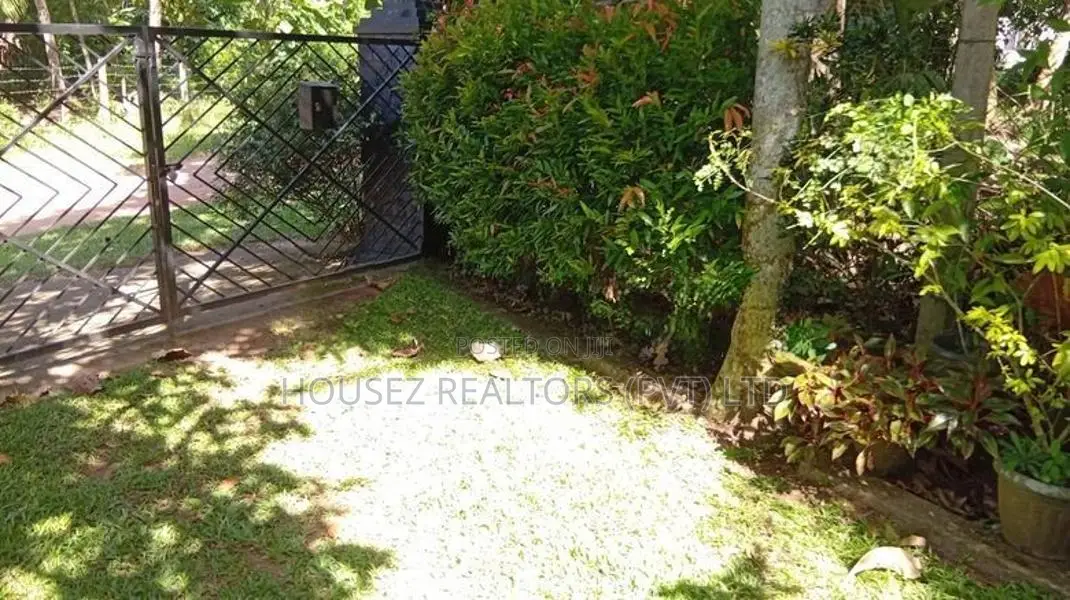 Fruit Garden Property For Sale – Giriulla