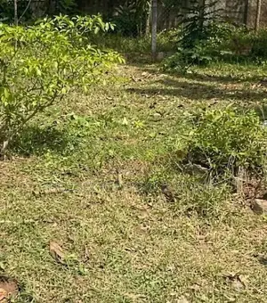 Land For Sale In Homagama – 6.5 Perches