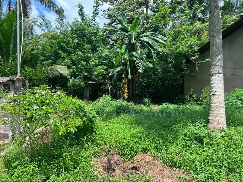 Prime 7.1 Perch Land For Sale – Kahathudua South, Polgasowita