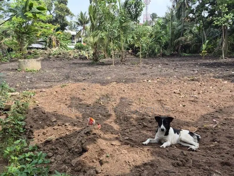 Land For Rent – Ja-Ela, Weligampitiya (Palliya Road)