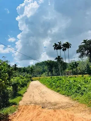 Land For Sale Baddegama