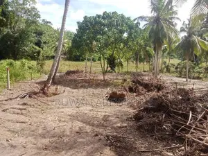80 Perch Land For Sale - Kathaluwa, Koggala In Ahangama