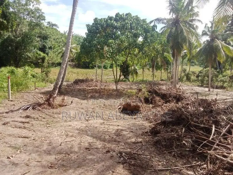 80 Perch Land For Sale - Kathaluwa, Koggala In Ahangama