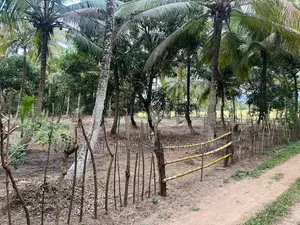 Land For Sale In Kurunegala Ibbagamuwa