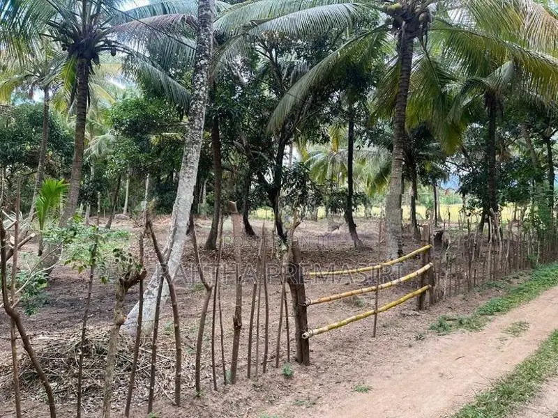 Land For Sale In Kurunegala Ibbagamuwa